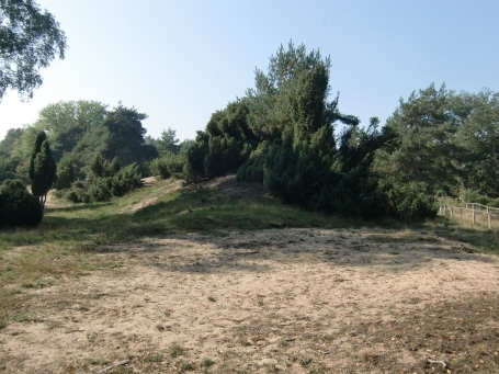 Schermbeck : Impressionen aus dem Naturschutzgebiet Loosenberge